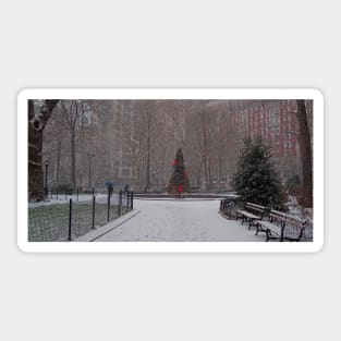 A Christmas Tree In the Snow, Madison Square Park, NYC Sticker